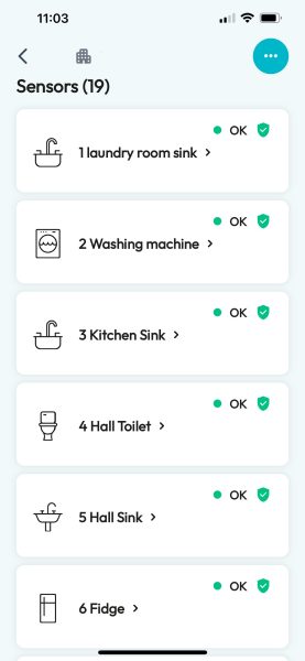 original-D277CAB9-37C9-43E9-9658-A22DFB608139